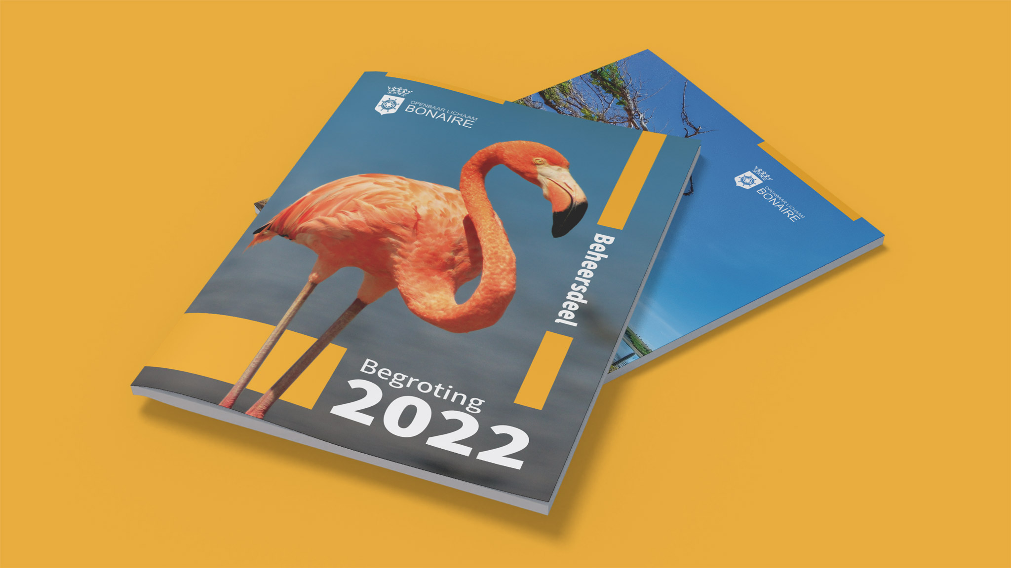 Begroting-2022---Mockup_1